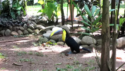 Día 4: San José, Costa Rica