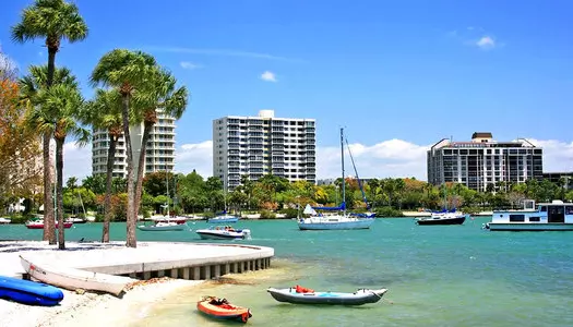Día 6: Sarasota Area - FL, Estados Unidos