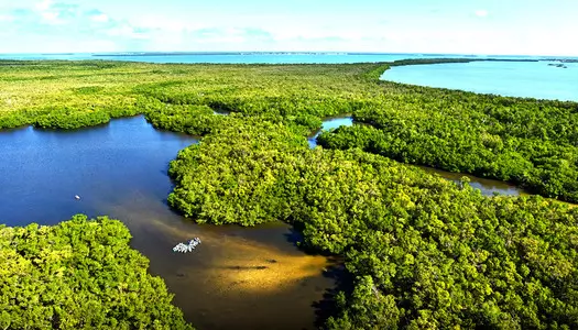 Día 5: Fort Myers Area - FL, Estados Unidos