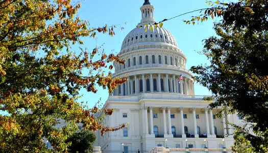Día 9: Buffalo - NY, Estados Unidos - Washington D.C. - DC, Estados Unidos