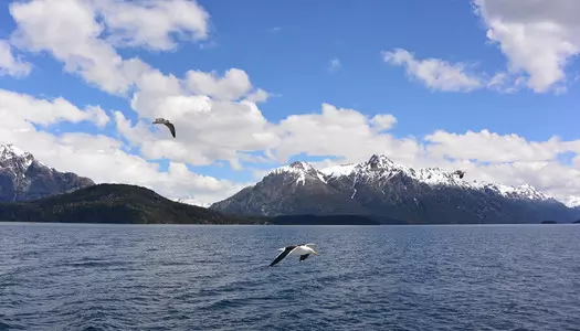 Día 4: Bariloche, Argentina