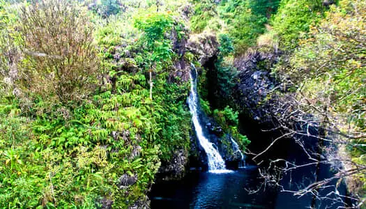 Día 3: Hawaii - Maui - HI, Estados Unidos