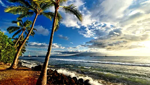 Día 5: Hawaii - Maui - HI, Estados Unidos