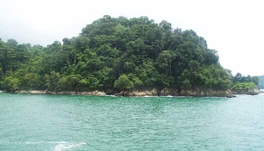 Día 1: Manuel Antonio, Costa Rica