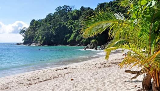 Día 4: Manuel Antonio, Costa Rica