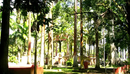 Día 1: Limon, Costa Rica