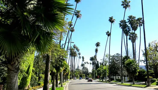 Día 7: California Coast - CA, Estados Unidos - Los Angeles - CA, Estados Unidos