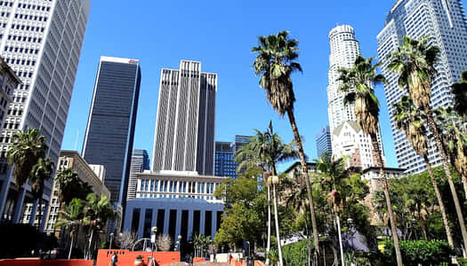 Día 8: Los Angeles - CA, Estados Unidos