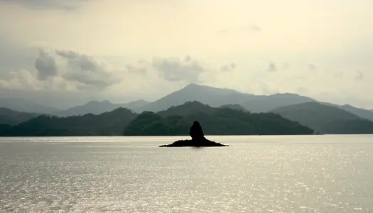 Día 5: San José, Costa Rica - Puntarenas, Costa Rica