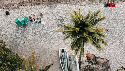 Día 7: Puntarenas, Costa Rica