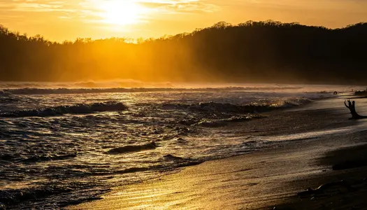 Día 8: Puntarenas, Costa Rica - San José, Costa Rica