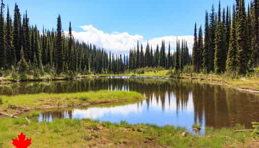 Día 5: Whistler, Canadá - Revelstoke - BC, Canadá