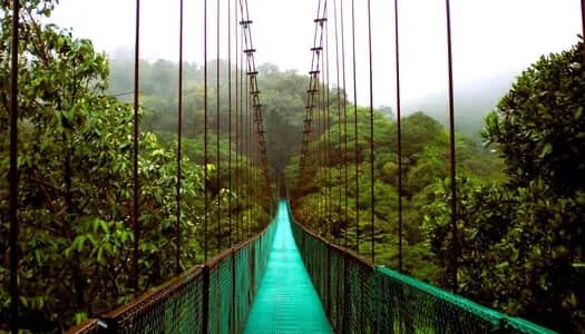 Día 5: Monteverde, Costa Rica