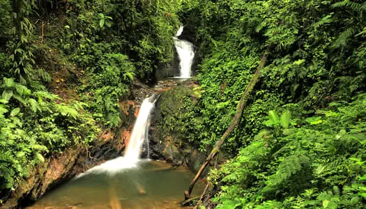 Día 6: Monteverde, Costa Rica