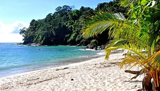 Día 9: Manuel Antonio, Costa Rica