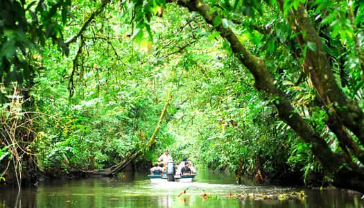 Día 2: Costa del Caribe  / Tortuguero, Costa Rica