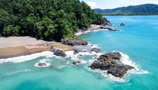 Día 7: Costa PacÃ­fico Sur, Costa Rica