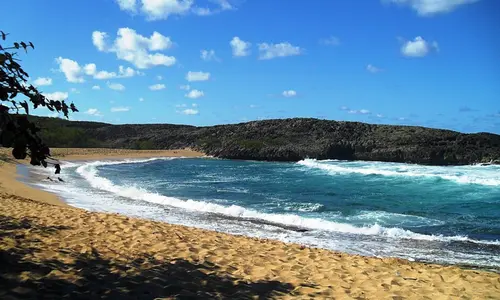 Descubra las selváticas playas del Caribe