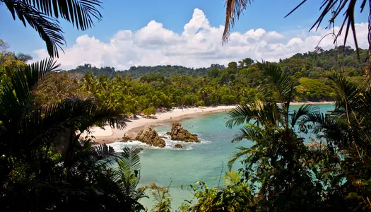 Día 8: Manuel Antonio, Costa Rica - San José, Costa Rica