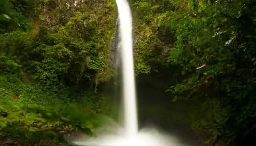 Día 3: Arenal, Costa Rica