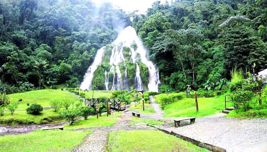 Día 6: Armenia, Colombia