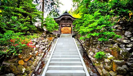 Día 8: Kyoto