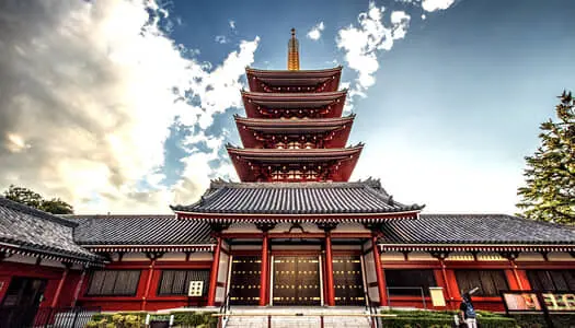 Día 8: Tokio