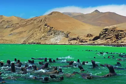 Día 3: Paracas, Perú - Lima, Perú
