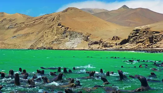 Día 3: Paracas, Perú - Lima, Perú