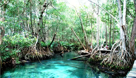 Día 3: Merida - Yucatan, México
