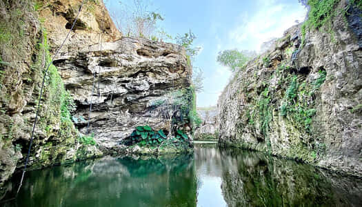 Día 3: Merida - Yucatan, México
