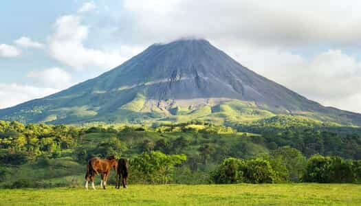 Día 2: San José, Costa Rica - Arenal, Costa Rica