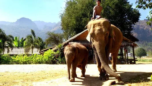Día 8: Chiang Mai