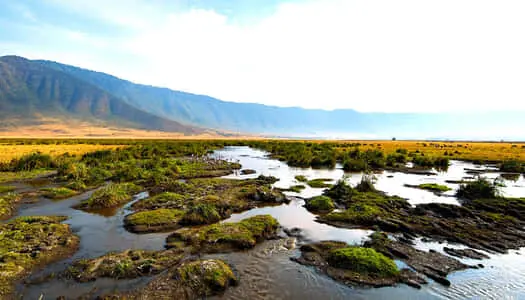 Día 2: Ngorongoro