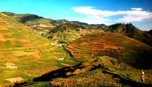 Día 9: Parque Nacional Bwindi