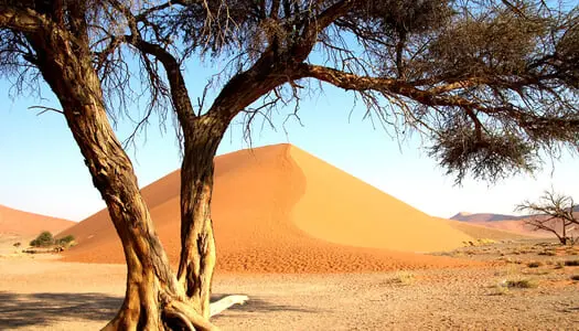 Día 7: Desierto e Namib