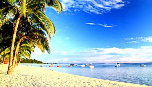 Día 3: Moorea