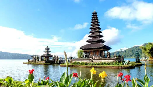 Día 6: Ubud