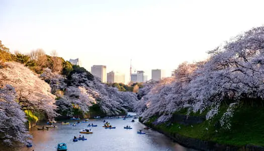 Día 3: Tokio