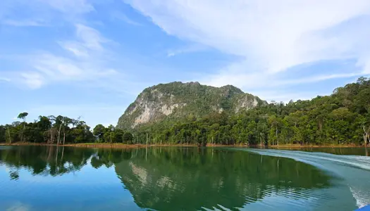 Día 4: Teman Negara