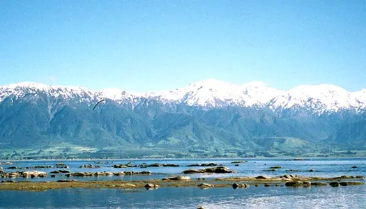 Día 14: Canterbury-Christchurch MT Cook