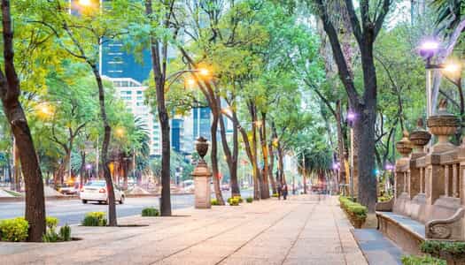 Día 6: Ciudad de Mexico, México