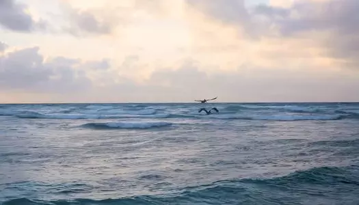 Día 1: Cancun (y alrededores), México