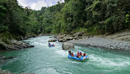 Día 4: Costa del Caribe  / Tortuguero, Costa Rica - Arenal, Costa Rica