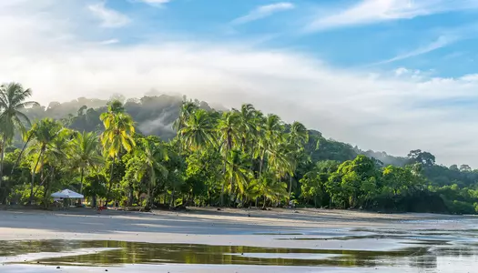 Día 3: Manuel Antonio, Costa Rica