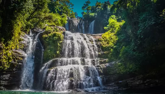 Día 4: Manuel Antonio, Costa Rica