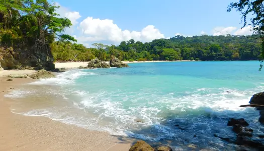 Día 6: Manuel Antonio, Costa Rica