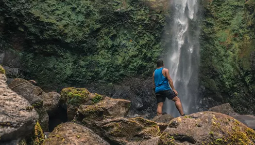 Día 4: Limon, Costa Rica - Sarapiqui, Costa Rica