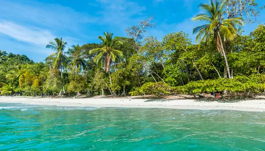Día 10: Manuel Antonio, Costa Rica