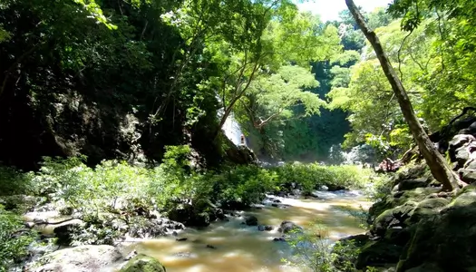 Día 3: Península de Nicoya, Costa Rica